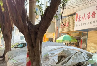 深圳“僵尸车”大军：闲置尘封整年 竟为过年的面子？