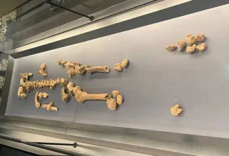 俄乌白刃战：千年肉搏为啥延续至今？
