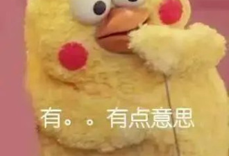 怒踹“大款”杨子，伺候黄圣依坐月子：杨子前妻是哪路神人啊？