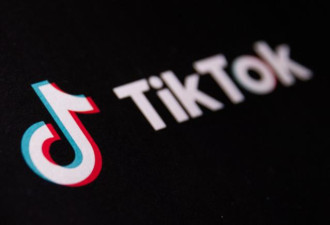 “川普或让中国人继续拥有TikTok”