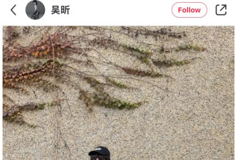 41岁的吴昕被外国人闯入直播间后，改用英语发博