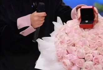净身出户后，杨子"疯了"！3次求婚前妻被拒，饥不择食"求爱"麦琳