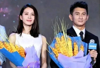 台媒曝刘诗诗吴奇隆传婚变是因为粉丝，揭露吴奇隆蔡少芬分手原因