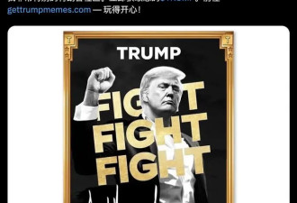 不为割韭菜，只为成凯撒！川普发币 石破天惊