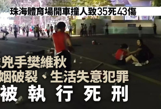 珠海撞人案|官媒：62岁凶手樊维秋被执行死刑 为泄私愤…