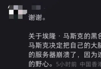小红书AI翻译被玩疯！网友攻陷评论区