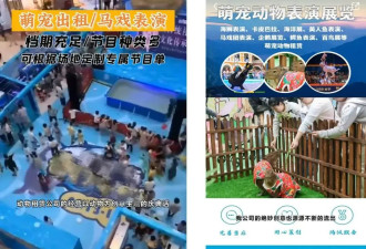 “死了就换一批”的网红萌宠，消失在商场里