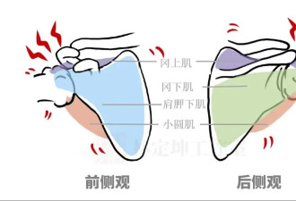 想颈肩远离疼痛 练这5个动作提升肩胛功能就对了