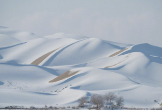 塔克拉玛干沙漠降雪 雾凇奇观美如画