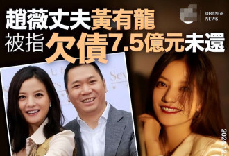 赵薇公布离婚日期清空黄有龙公司股票 无需还债