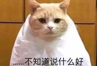 李诞、韦雪直播间，抢走网红“付费情感导师”生意
