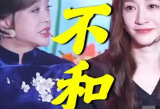 倪萍、向太拱火，李小冉向刘晓庆开炮，最终...