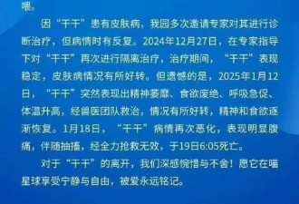中国大陆动物园最后一只云豹“干干”去世