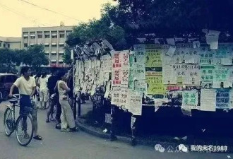 沙地黑米：北大记忆，青春是拿来虚度的