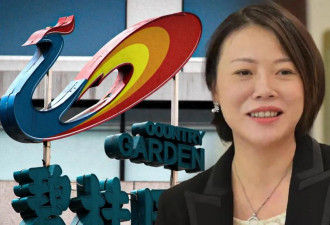 碧桂园，终于摊牌了 两份财报吓傻吃瓜群众
