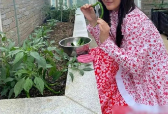 53岁杨钰莹在豪宅摘菜，村姑打扮难掩清纯美，条件好可惜不嫁人