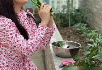 53岁杨钰莹在豪宅摘菜，村姑打扮难掩清纯美，条件好可惜不嫁人