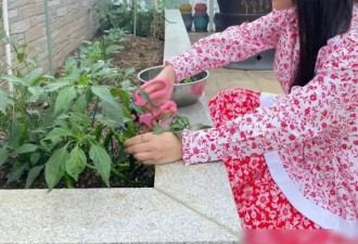 53岁杨钰莹在豪宅摘菜，村姑打扮难掩清纯美，条件好可惜不嫁人