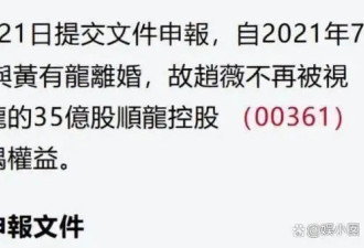 港媒曝赵薇主动公布离婚日，当天清空黄有龙公司股票，素颜照曝光
