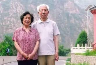 中医针刺麻醉，就这样自生自灭，你觉得可惜么？