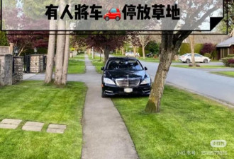 大温奇葩停车乱象成风！特斯拉霸道停在人行道