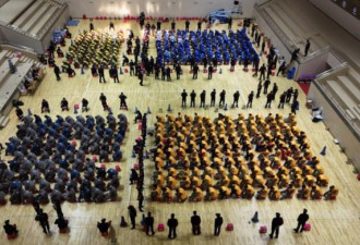 亲历缅北惊魂：1对肾值11万美金