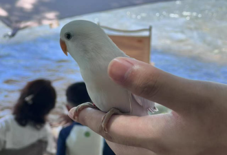 突然确诊！ 杭州女子发烧39℃ 急送ICU