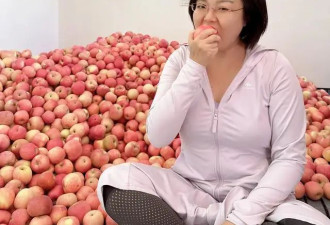 42岁离职女官员：我不想当官 只想通过当官做事