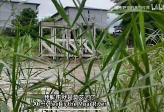 缅甸电诈暗影下，那些被更改的人生