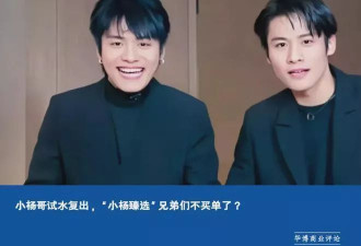 小杨哥试水复出，“小杨臻选”兄弟们不买单了？