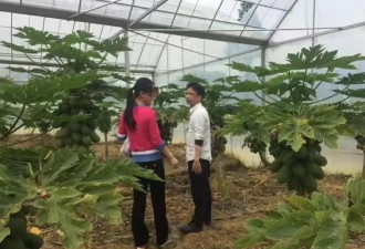 苏享茂方律师：翟欣欣有从欺骗到婚内敲诈的转变