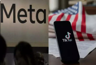 美科技巨头、初创齐上阵：一场瓜分TikTok的盛宴