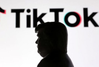 讨好川普？复活的美TikTok 突现10大怪象