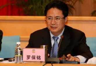 与政治骗子交往 纵容亲属 罗保铭被开除党籍