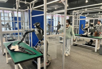 上海训练场可同时训练100个人形机器人