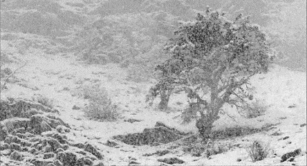 火焰山竟然下雪了!北京四区已降雪,河南暴雪....