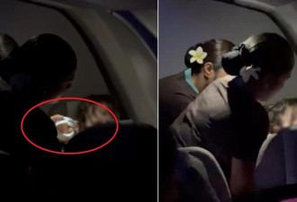 女乘客飙粗口还动粗 空姐一招有效压制