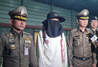 绑架王星的重要疑犯“颜十六”被捕遣返回国