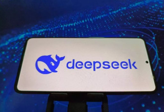中国DeepSeek大模型 性能比肩OpenAI 成本仅1/30