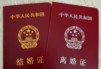 新生活开始！​《出走的决心》原型苏敏宣布离婚成功