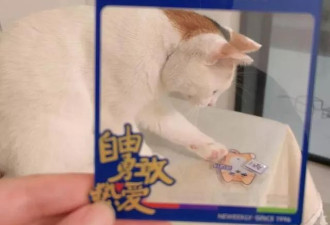 第一批返乡的年轻人，已经开始加班了