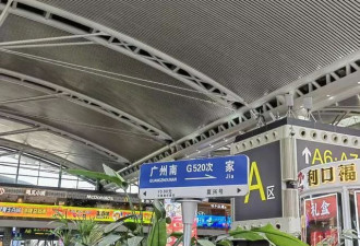 第一批返乡的年轻人，已经开始加班了