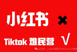 爱装的中国人遇上了爱骂街的美国人，绝配