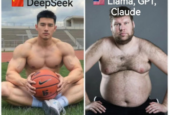DeepSeek：黑天鹅降临硅谷