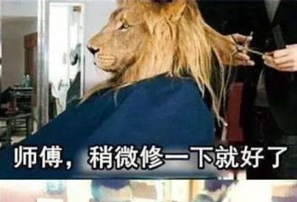 为什么劝你过年前别烫头 看完这些你就明白了