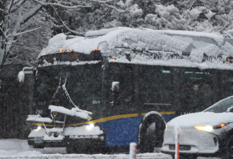 大温今冬最冷时刻马上来 连续数日降雪