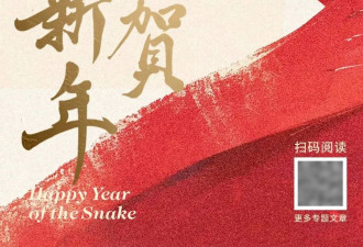 给猫狗吃的满汉全席年夜饭，到底是谁在买啊