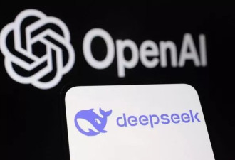 实测中国AI DeepSeek：连习近平名字也不敢谈