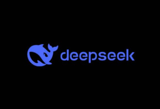 大规模网络攻击 DeepSeek传宕机灾情