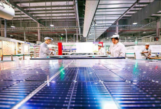 中国太阳能企业2024巨亏